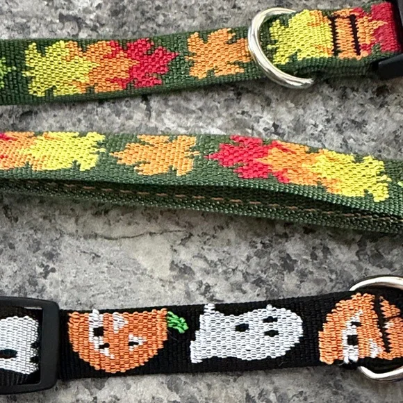 21 Vibrant Multicolor Dog Collars used